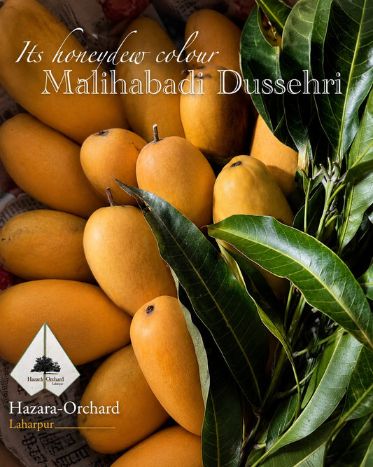 Dussehri
