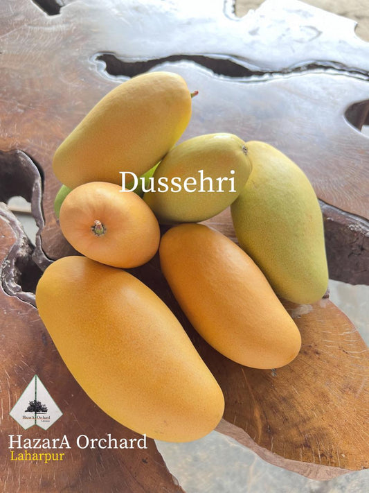 Dussehri